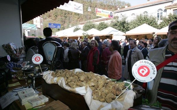 Arriva la Fiera del tartufo di Acqualagna