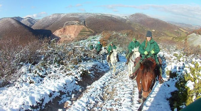 Sant’Antonio Abate: torna la Benedizione degli animali